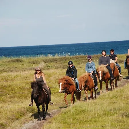 Hytteby - - Thy Hanstholm