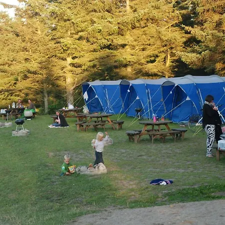 Hytteby - - Thy Campsite Hanstholm
