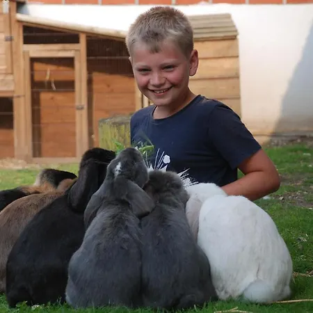 Hytteby - - Thy Campeggio Hanstholm