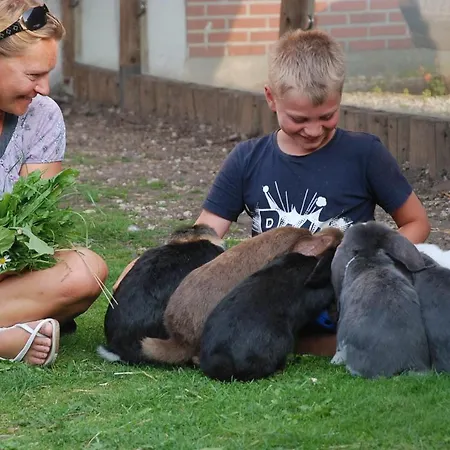 Campeggio Hytteby - - Thy Hanstholm