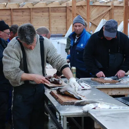 Hytteby - - Thy Campeggio Hanstholm