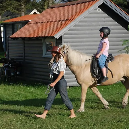 Campsite Hytteby - - Thy 2*