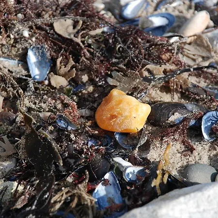 Hytteby - - Thy Campeggio 2*