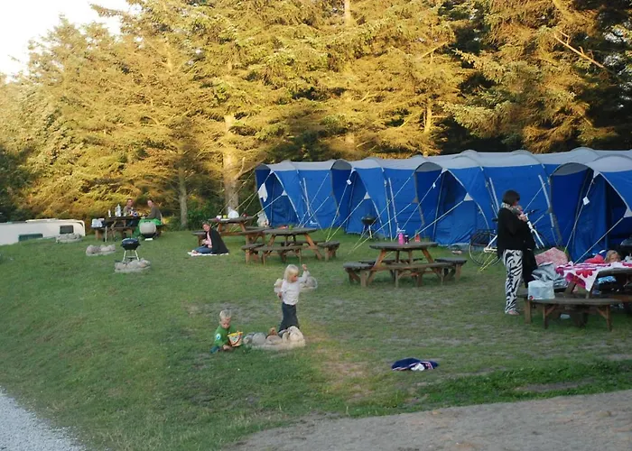 Hytteby - - Thy Campsite Hanstholm