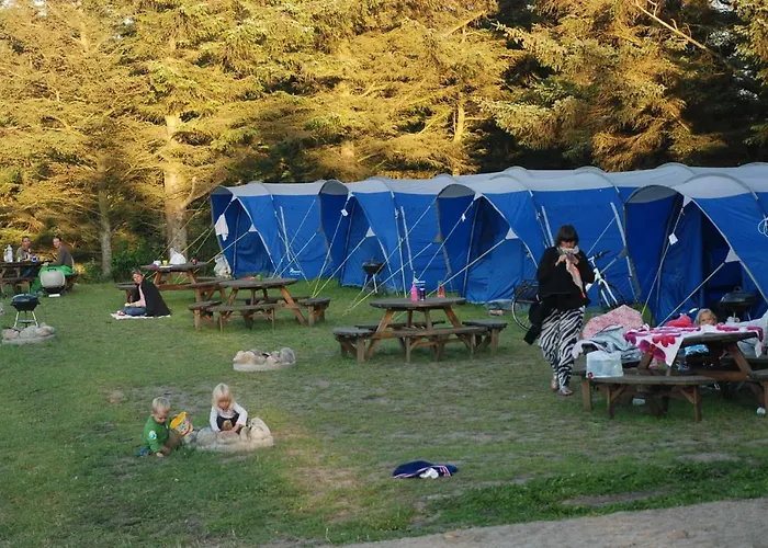 Campsite Hytteby - - Thy